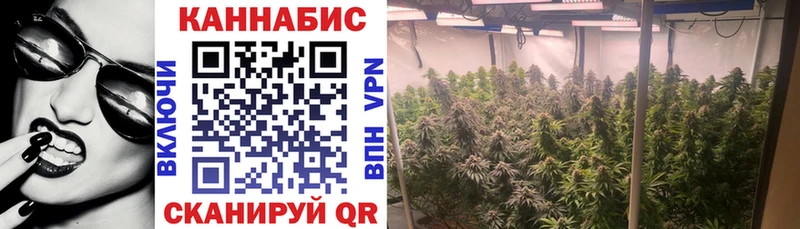 Купить наркоту Михайловск СОЛЬ  Амфетамин  Конопля  МЕФ 