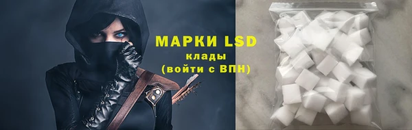 ПСИЛОЦИБИНОВЫЕ ГРИБЫ Бугульма