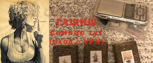 гидра Бородино