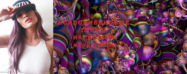 гидра Бородино