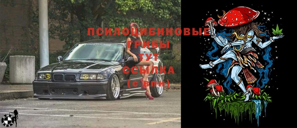 ПСИЛОЦИБИНОВЫЕ ГРИБЫ Бугульма