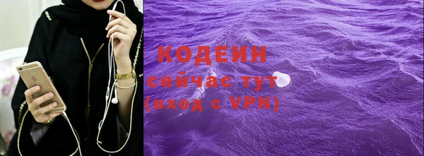 гидра Бородино