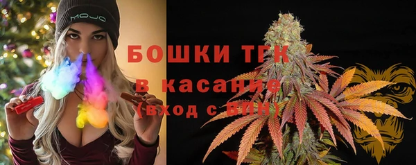 ECSTASY Бронницы