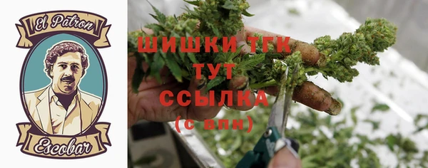 ECSTASY Бронницы