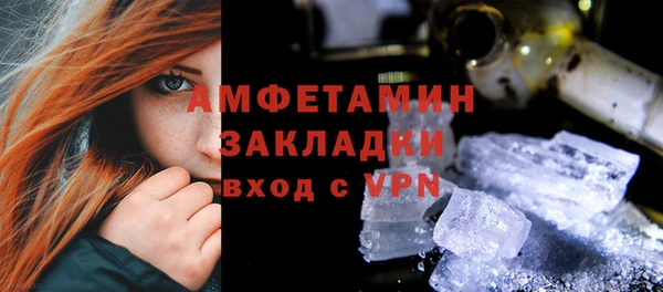 гидра Бородино